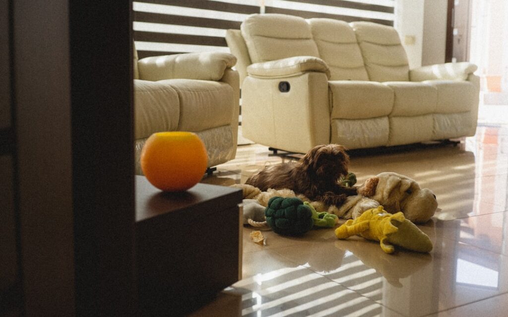 How to Choose Vacuum Cleaners for Everyday Use