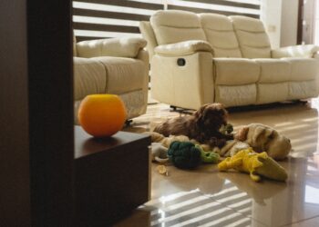 How to Choose Vacuum Cleaners for Everyday Use